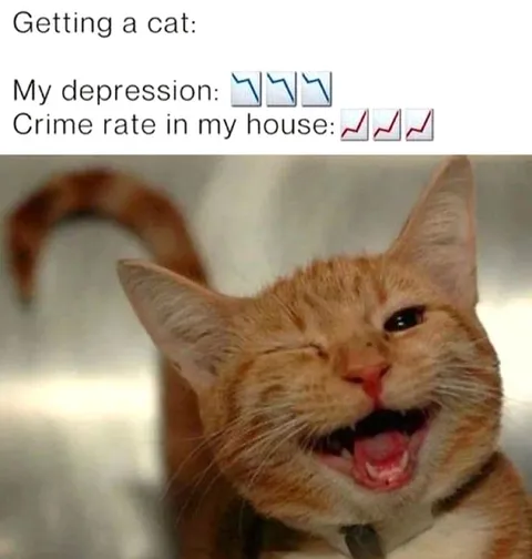 Getting a Cat Raises Crime