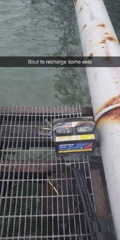 Recharging Some Eels