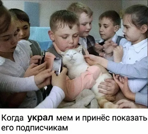 Украл мем и показал подписчикам