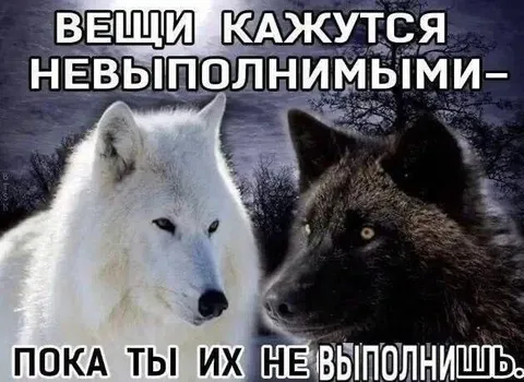 Вещи кажутся невыполнимыми