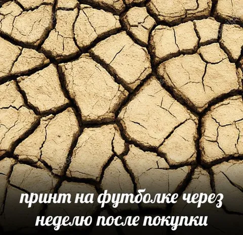 Принт на футболке через неделю