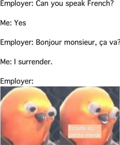 I Surrender to French