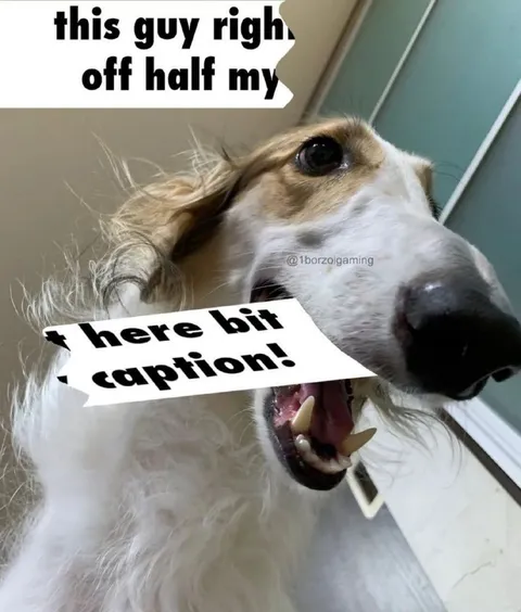 Half-Finished Dog Caption