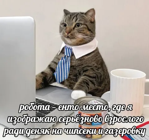 Работа ради чипсиков и газировки