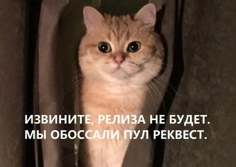Кот отменяет релиз