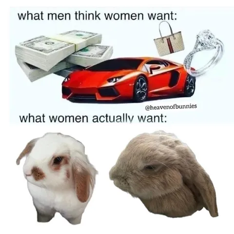 What Women Actually Want