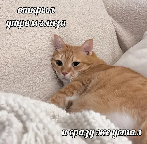 Открыл глаза и устал