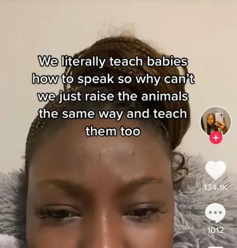 Teaching Animals to Speak