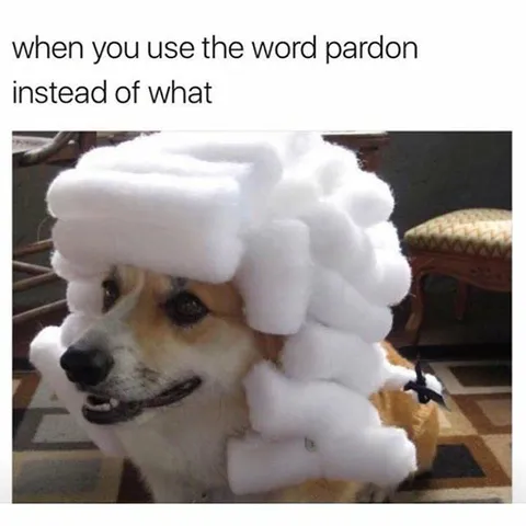 When You Say Pardon
