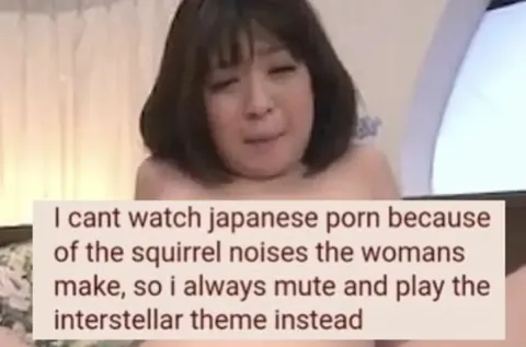 Japanese Porn Squirrel Noises