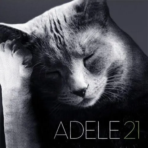 Adele 21 Cat Parody
