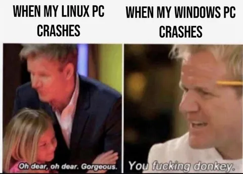 Linux Crashes vs Windows Crashes