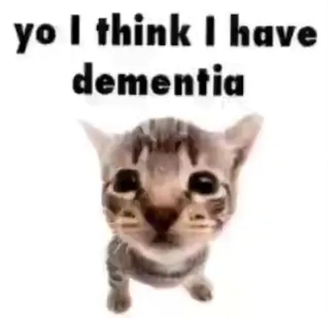 I Think I Have Dementia Cat