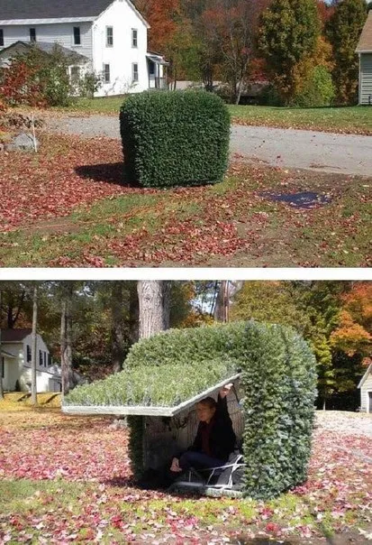 Человек в кусте