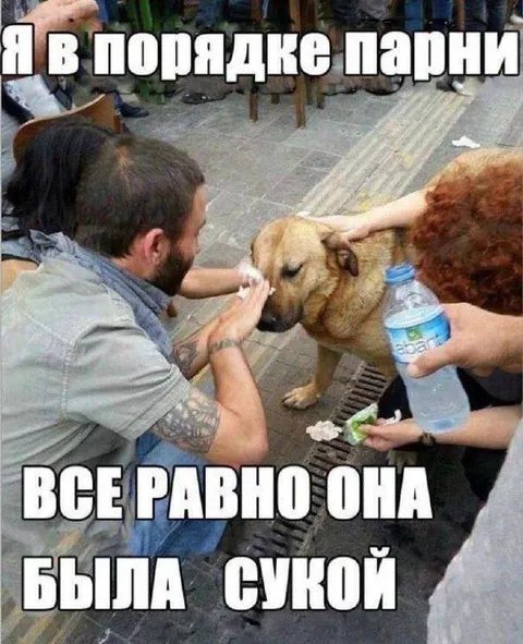 Она всё равно была сукой
