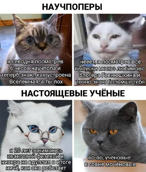 Научпоперы и настоящие учёные
