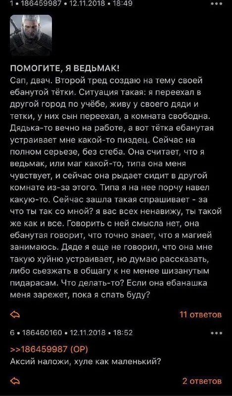 Ведьмак у тётки в гостях