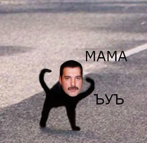 Мама, я кот