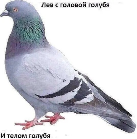 Лев с головой голубя