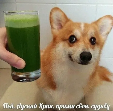 Пей, Адский Крик