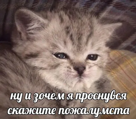 Зачем я проснулся
