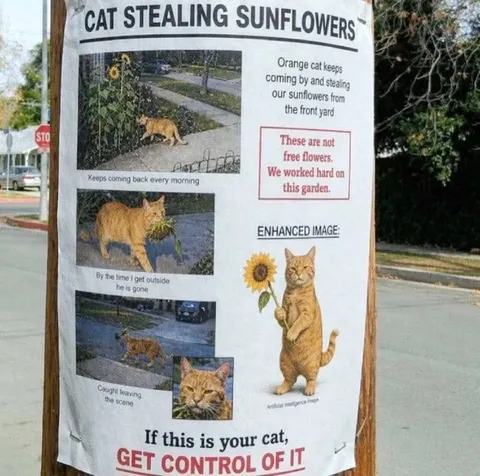 Cat Stealing Sunflowers