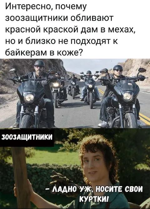 Зоозащитники и байкеры