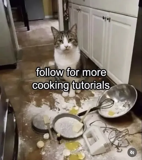 Cat Cooking Tutorial Gone Wrong