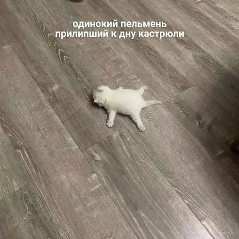 Одинокий пельмень на дне кастрюли
