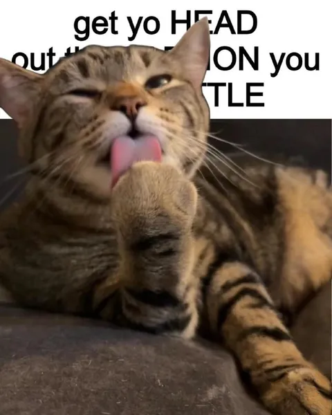 Cat Licking Its Paw