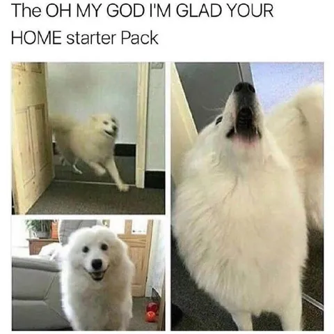Glad You're Home Starter Pack
