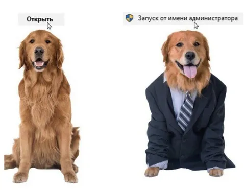 Открыть или запуск от имени администратора
