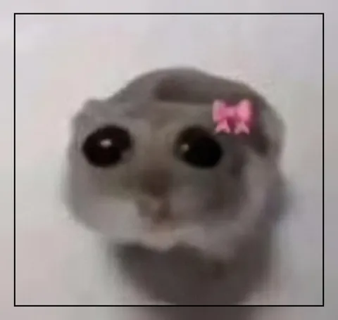 Хомяк с розовым бантиком