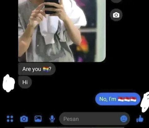 Are You Rainbow? No, I'm Indonesian