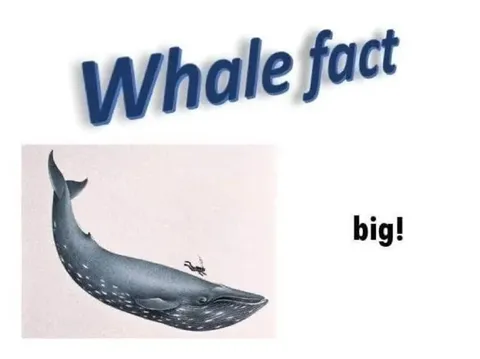 Whale Whole Fact