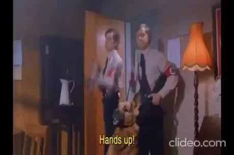 I Danced for Hitler