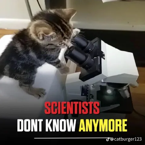 Scientists Don't Know Anymore