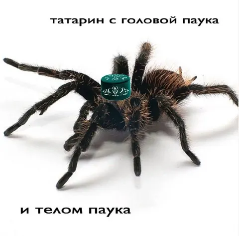 Татарин с головой паука