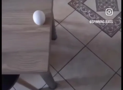 Яйцо превращается в рыбу