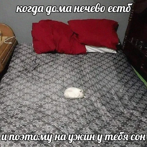 Когда дома нечего есть