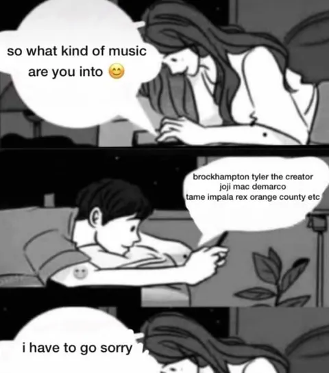 Music Taste Rejection
