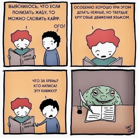 Как поймать кайф, облизывая жабу