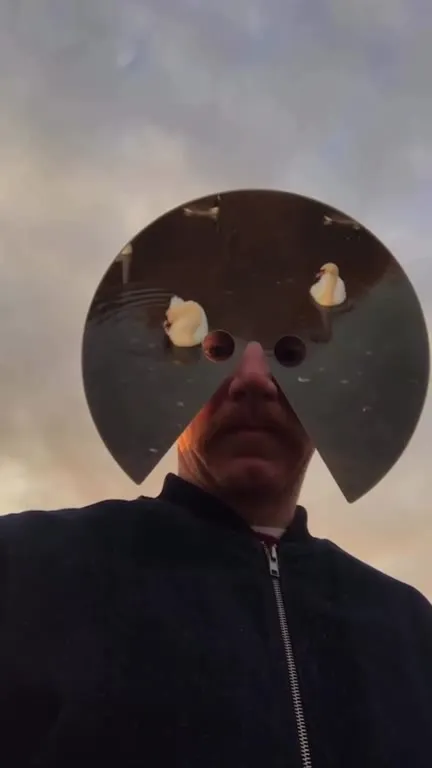 Oh, hollow swan-faced man