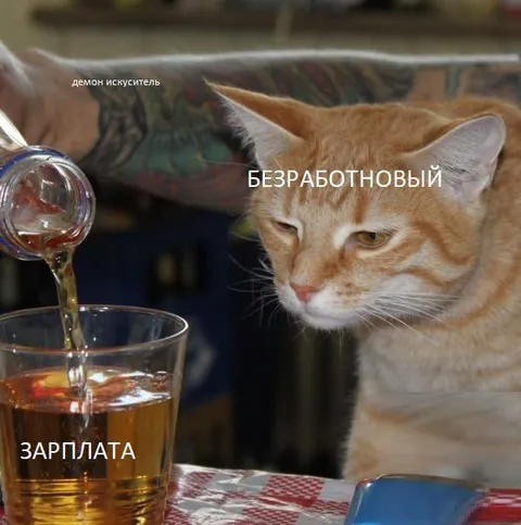 Безработный кот и зарплата