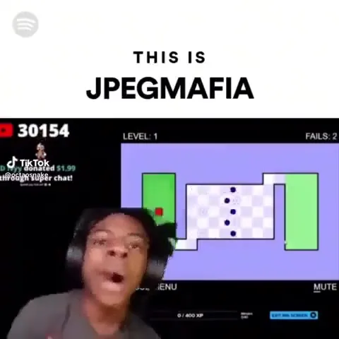 This Is JPEGMAFIA