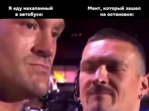 Заяц в автобусе и мент