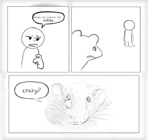 Crazy? I Was Crazy Once