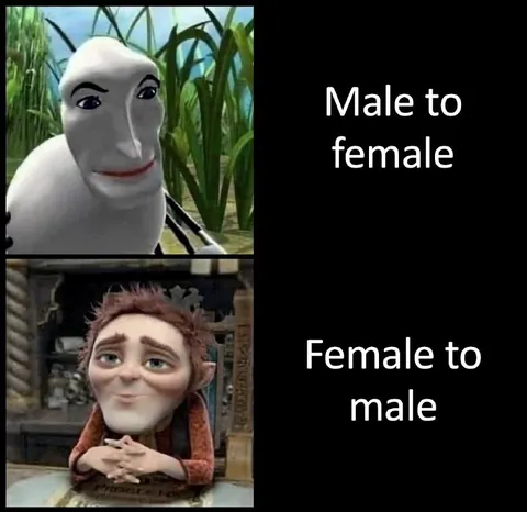 Male to Female, Female to Male
