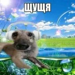 Щущя в райском саду