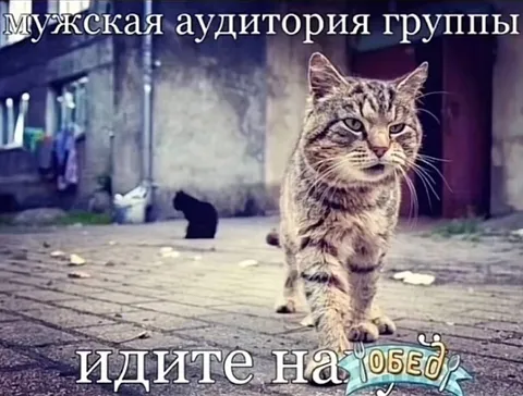 Мужская аудитория идёт на обед
